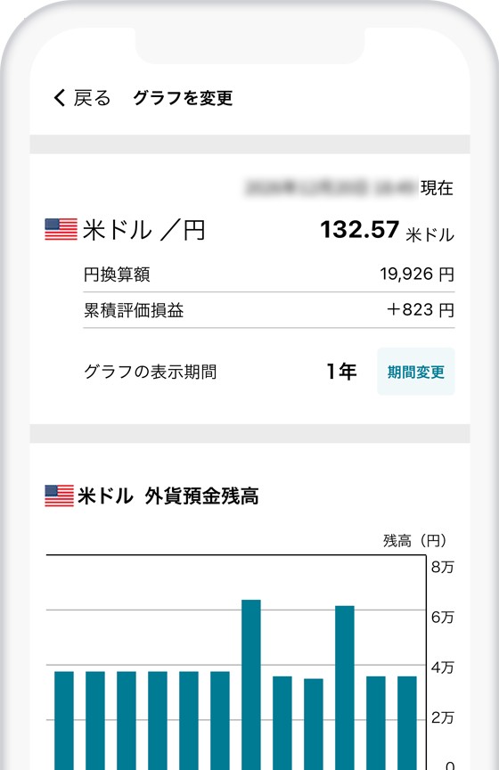 外貨損益表示機能