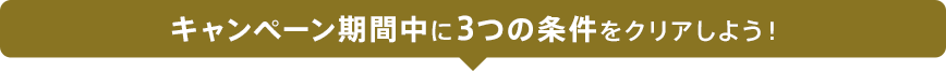 キャンペーン期間中に3つの条件をクリアしよう！