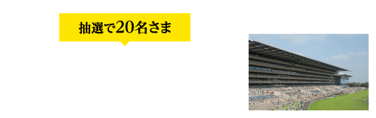 景品B 抽選で20名さま 東京競馬場にご招待!(競馬ビギナーズセミナー)