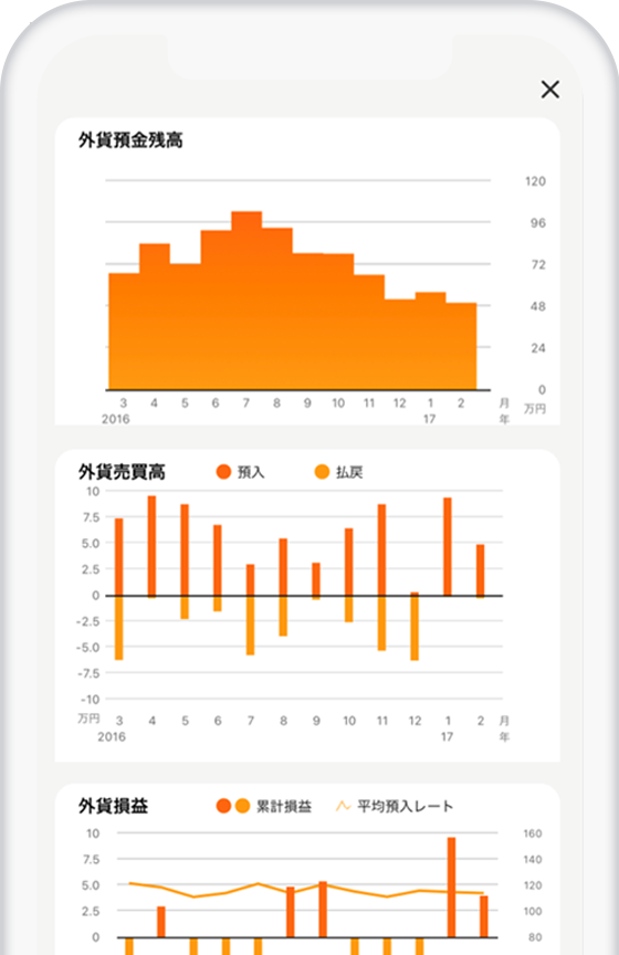 外貨損益表示機能
