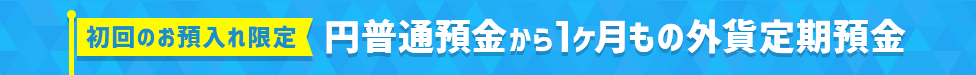 円普通預金から1ヶ月もの外貨定期預金